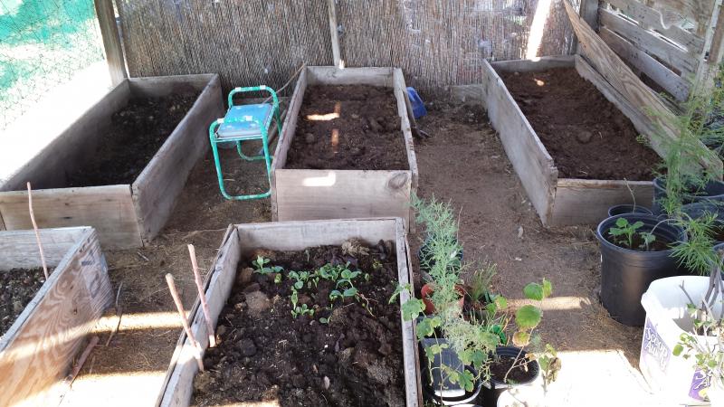 Worm Bins